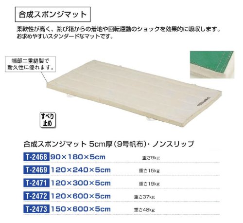 Amazon | TOEI LIGHT(トーエイライト) 合成スポンジマット5㎝厚